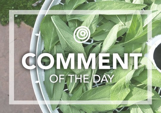 Fresh sage - Comment of the Day
