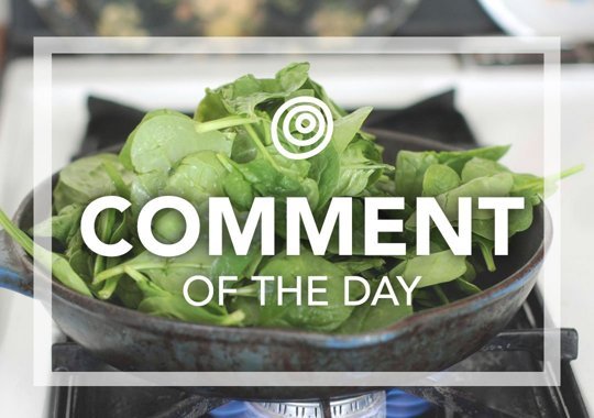 Spinach in a frying pan - Comment of the Day